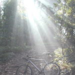Why my city bike is a mountain bike