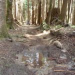 Trail work: Discovering the satisfactions on Tiger