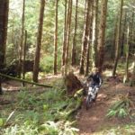 Tiger Mountain update: Trails in primo condition