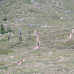 Bike Intelligencer Ride Classics: Mt. St. Helens' Juniper Ridge
