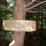 News Cycle: Ride-by shooting, Interbike's future, Galbraith Mt. cause for pause?