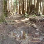 Dry Trails This Weekend?