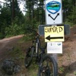 Ashland Super D Looks to Be Ripper!