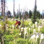 Classic Mountain Bike Rides: Ants Basin, Idaho
