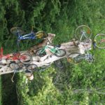 Santa Rosa CA is Roadie; Hornby Island B.C. is MTB
