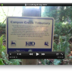 Mountain Biking Grand Ridge, Issaquah