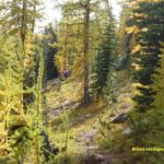 Winthrop Wonderland: Mountain Biking in the Methow Valley, Day Two