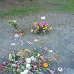 The Lauren Ward Mystery: Was cyclist struck by protrusion from truck bed?