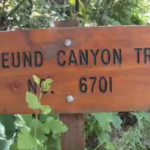 Freund Canyon Mountain Biking, Leavenworth WA