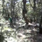 Forest of Nisene Marks Mountain Biking: Flowy singletrack defined