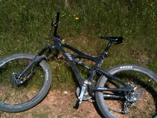 Ibis Mojo